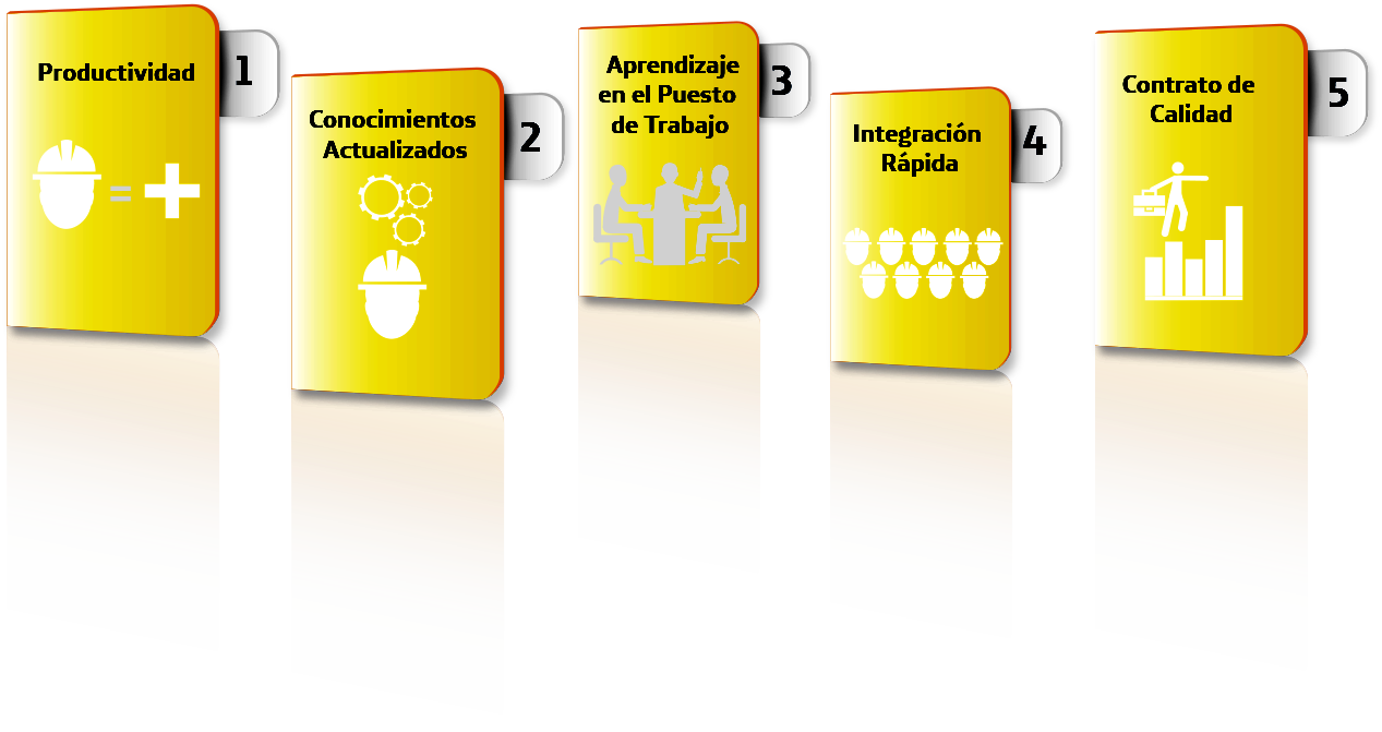 Formación Dual