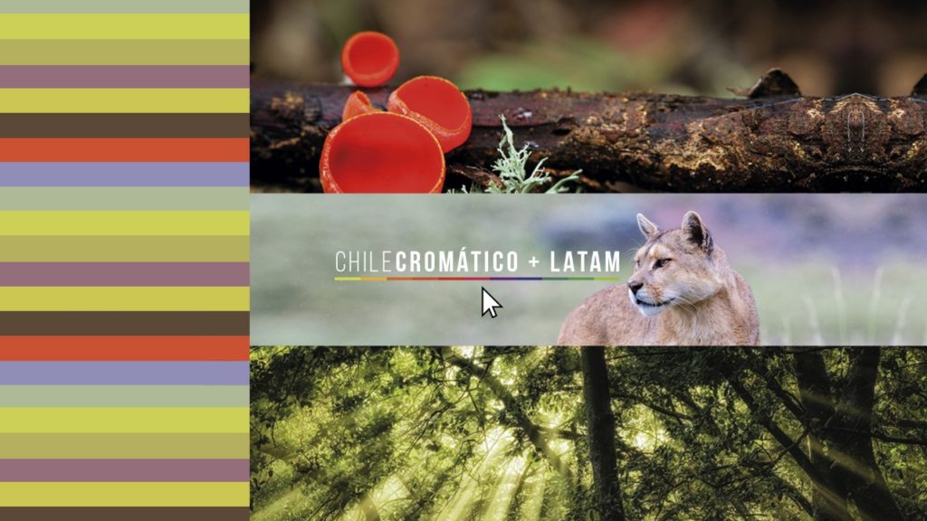 Chile Cromático + LATAM: una invitación a conocer los colores que visten nuestro país