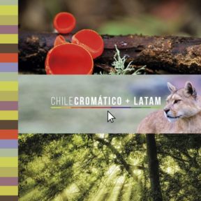 Chile Cromático