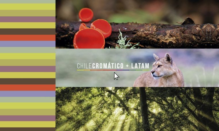 Chile Cromático + LATAM: una invitación a conocer los colores que visten nuestro país