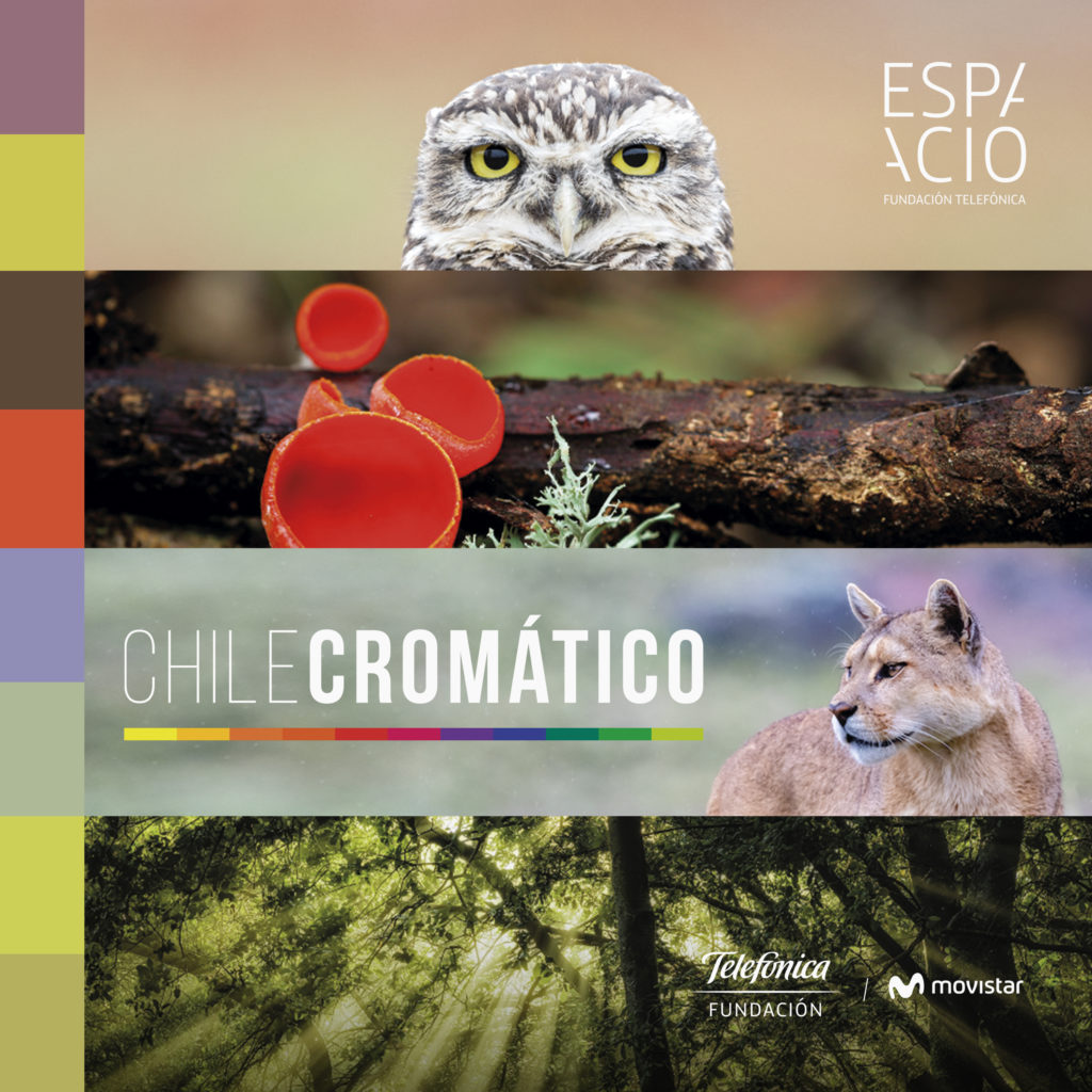 CHILE CROMÁTICO: UNA INVITACIÓN A CONOCER LOS COLORES QUE VISTEN NUESTRO PAÍS
